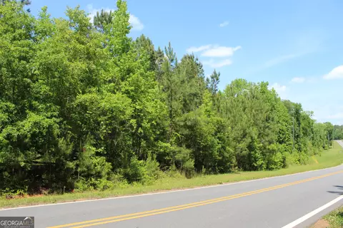 Undisclosed, Forsyth, GA 31029 photo 13