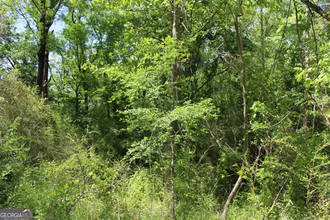 Undisclosed, Forsyth, GA 31029 photo 5