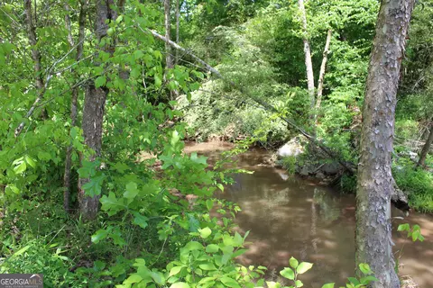 Undisclosed, Forsyth, GA 31029 photo 6