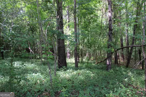 Undisclosed, Forsyth, GA 31029