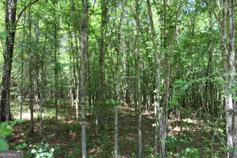 Undisclosed, Forsyth, GA 31029 photo 10