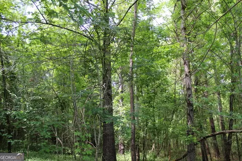 Undisclosed, Forsyth, GA 31029 photo 9