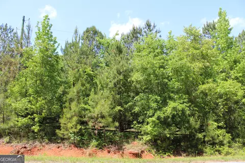 Undisclosed, Forsyth, GA 31029 photo 11