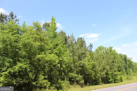 Undisclosed, Forsyth, GA 31029 photo 12
