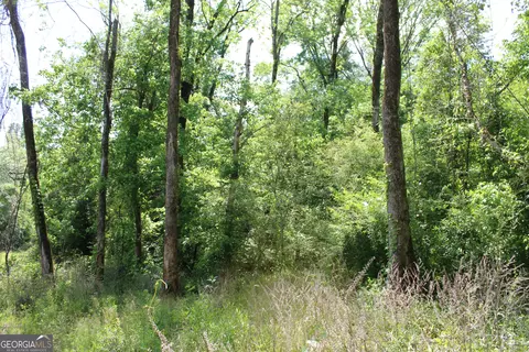 Undisclosed, Forsyth, GA 31029 photo 4