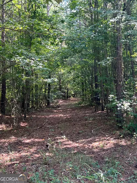 0 Dickson Rd, Rutledge, GA 30663 photo 17