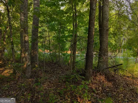 0 Dickson Rd, Rutledge, GA 30663 photo 35