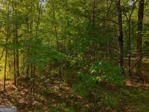 0 Dickson Rd, Rutledge, GA 30663 photo 36