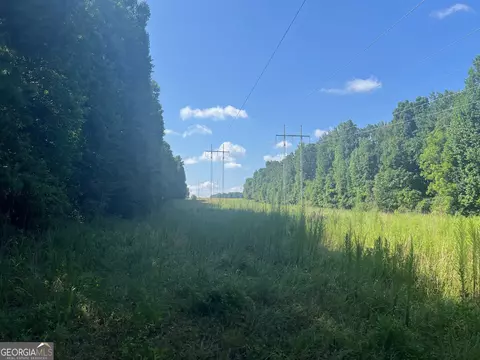 0 Dickson Rd, Rutledge, GA 30663 photo 13