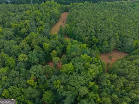 0 Dickson Rd, Rutledge, GA 30663 photo 38