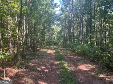 0 Dickson Rd, Rutledge, GA 30663 photo 5