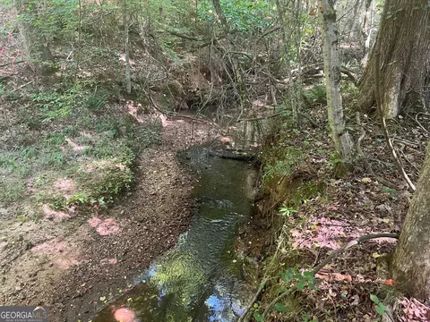 0 Dickson Rd, Rutledge, GA 30663 photo 15