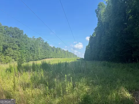 0 Dickson Rd, Rutledge, GA 30663 photo 14