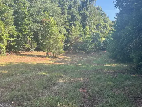 0 Dickson Rd, Rutledge, GA 30663 photo 12