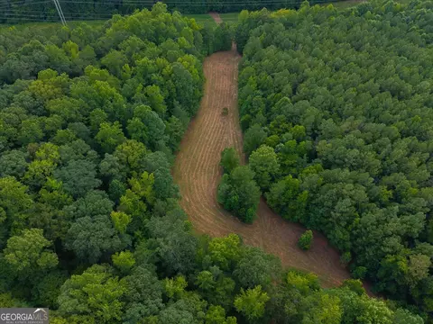 0 Dickson Rd, Rutledge, GA 30663 photo 39