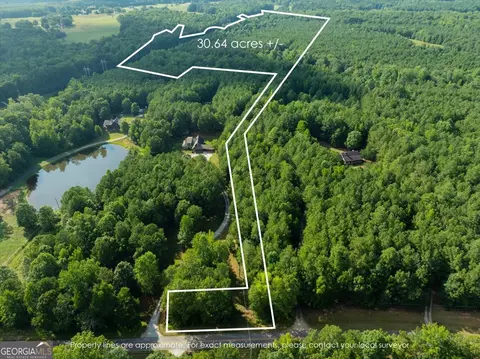 0 Dickson Rd, Rutledge, GA 30663 photo 29