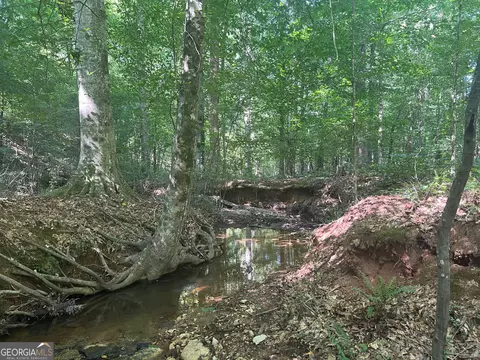0 Dickson Rd, Rutledge, GA 30663 photo 20
