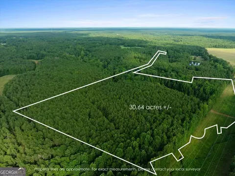 0 Dickson Rd, Rutledge, GA 30663 photo 2