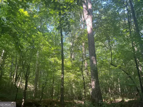 0 Dickson Rd, Rutledge, GA 30663 photo 19