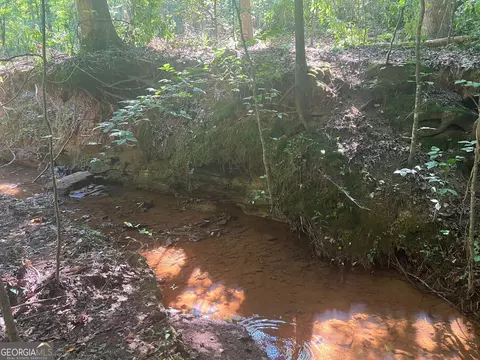 0 Dickson Rd, Rutledge, GA 30663 photo 9
