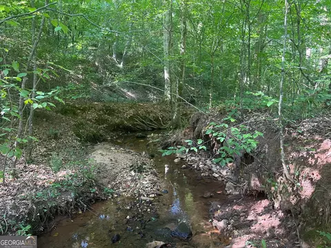 0 Dickson Rd, Rutledge, GA 30663 photo 21