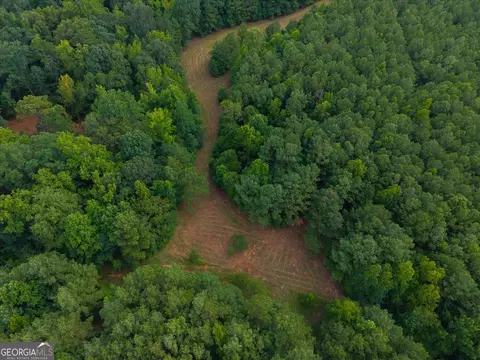 0 Dickson Rd, Rutledge, GA 30663 photo 45