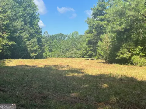 0 Dickson Rd, Rutledge, GA 30663 photo 11