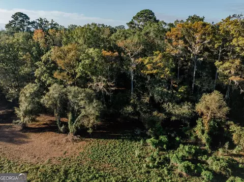 0 Eagles Pt #LOT 8, Surrency, GA 31563 photo 2
