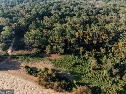 0 Eagles Pt #LOT 8, Surrency, GA 31563 photo 3