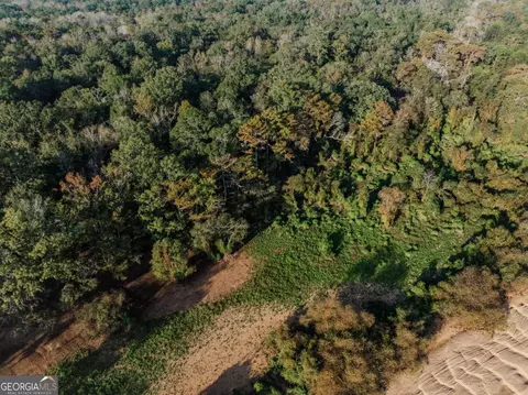 0 Eagles Pt #LOT 8, Surrency, GA 31563 photo 8