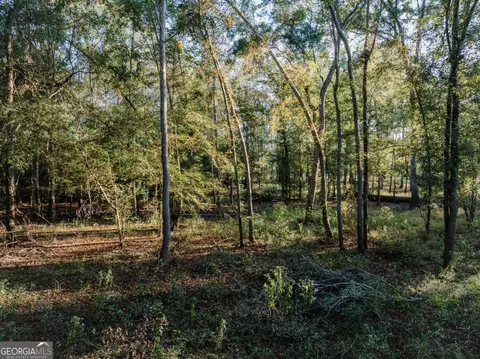 0 Eagles Pt #LOT 8, Surrency, GA 31563 photo 4