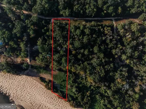 0 Eagles Pt #LOT 8, Surrency, GA 31563 photo 7