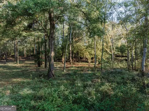 0 Eagles Pt #LOT 8, Surrency, GA 31563 photo 5
