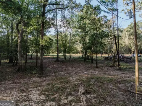 0 Eagles Pt #LOT 12, Surrency, GA 31563 photo 4