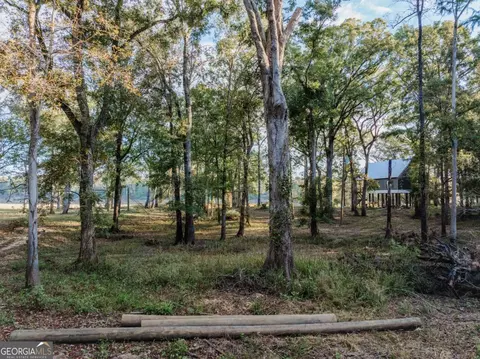 0 Eagles Pt #LOT 12, Surrency, GA 31563 photo 8