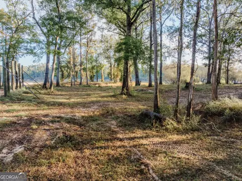 0 Eagles Pt #LOT 12, Surrency, GA 31563 photo 6