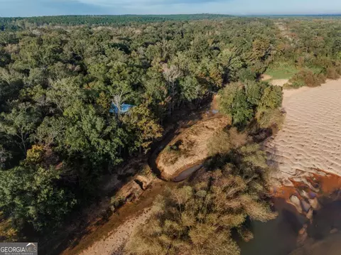 0 Eagles Pt #LOT 12, Surrency, GA 31563 photo 12