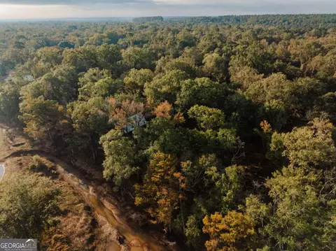 0 Eagles Pt #LOT 12, Surrency, GA 31563 photo 15
