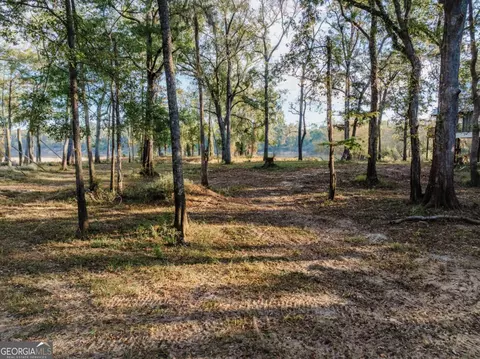 0 Eagles Pt #LOT 12, Surrency, GA 31563 photo 7