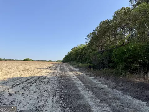0 Folds Rd, Pineview, GA 31071 photo 34