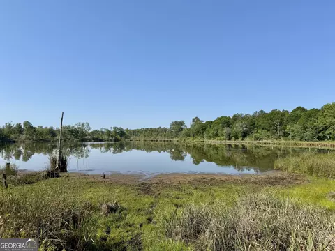 0 Folds Rd, Pineview, GA 31071 photo 33