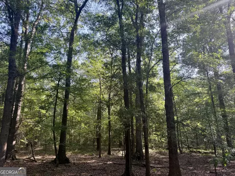 0 Folds Rd, Pineview, GA 31071 photo 26