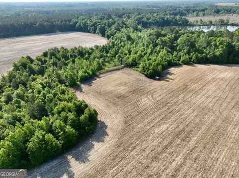 0 Folds Rd, Pineview, GA 31071 photo 9