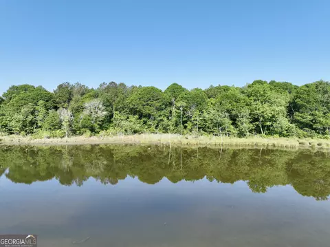 0 Folds Rd, Pineview, GA 31071 photo 21