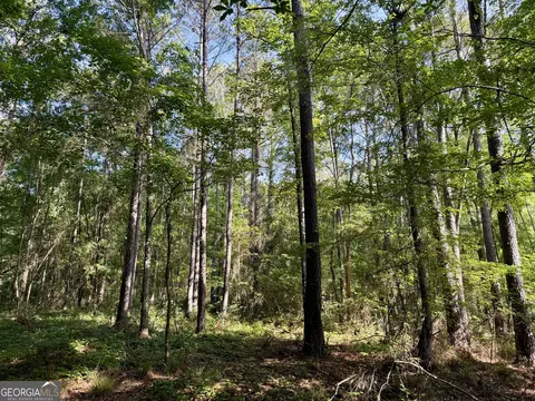 0 Folds Rd, Pineview, GA 31071 photo 29