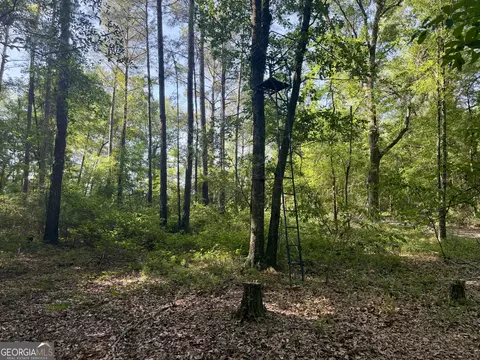 0 Folds Rd, Pineview, GA 31071 photo 28