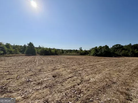 0 Folds Rd, Pineview, GA 31071 photo 24