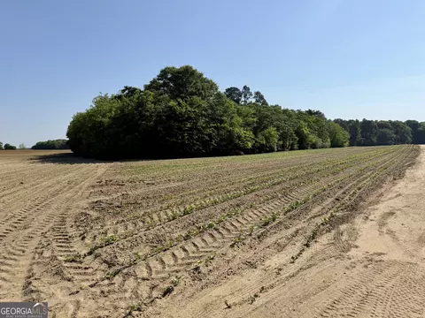 0 Folds Rd, Pineview, GA 31071 photo 36