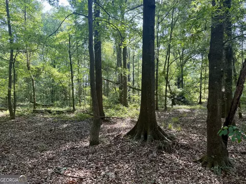 0 Folds Rd, Pineview, GA 31071 photo 27