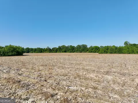 0 Folds Rd, Pineview, GA 31071 photo 15